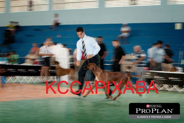 Clique sobre a foto para fechar